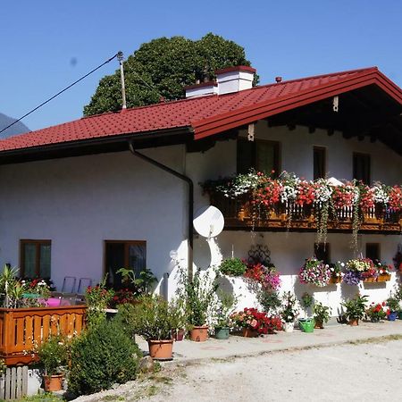 Bio-Bauernhof Greiml Apartman Grobming Kültér fotó